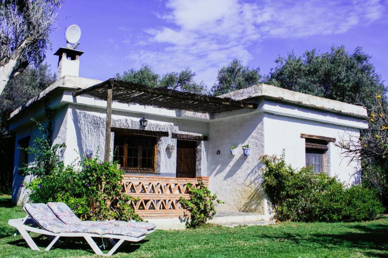 Cortijo Puerta Casas Rurales Orgiva Ngoại thất bức ảnh